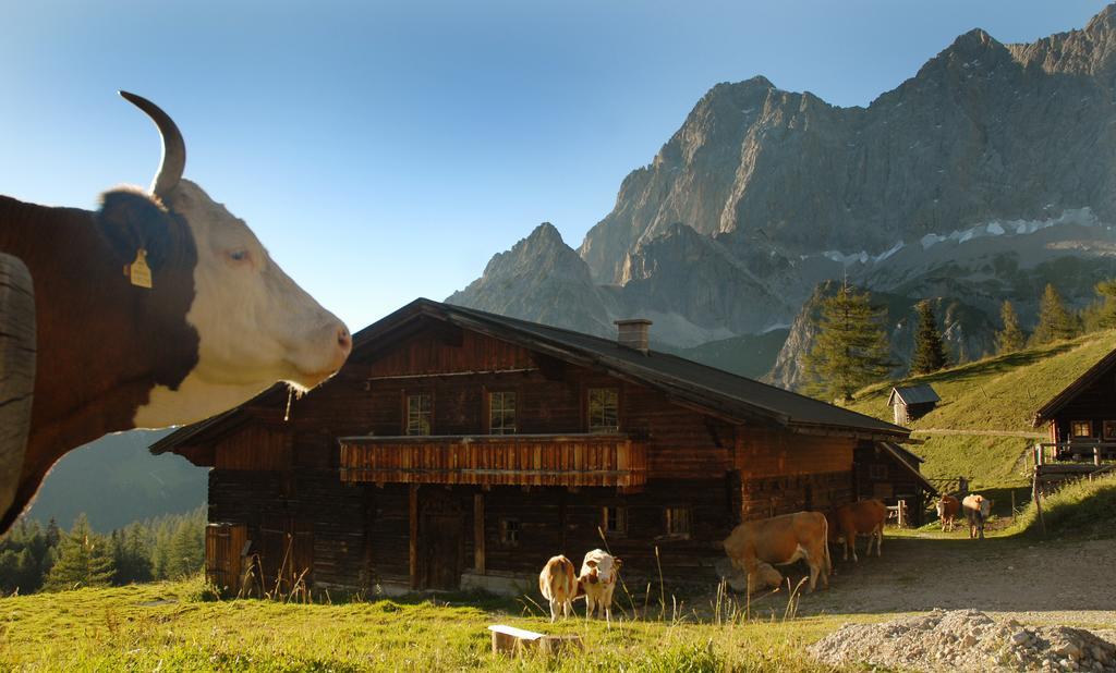 Haus Bergzauber Apartment รัมเซา อัม ดาคชไตน์ ภายนอก รูปภาพ